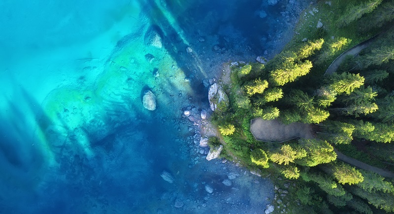 Understanding the biodiversity COP: COP16 and why it matters to investors