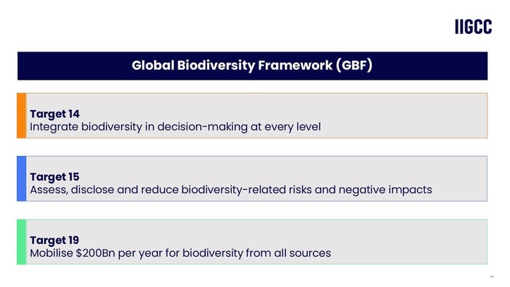 GBF Targets insight v
