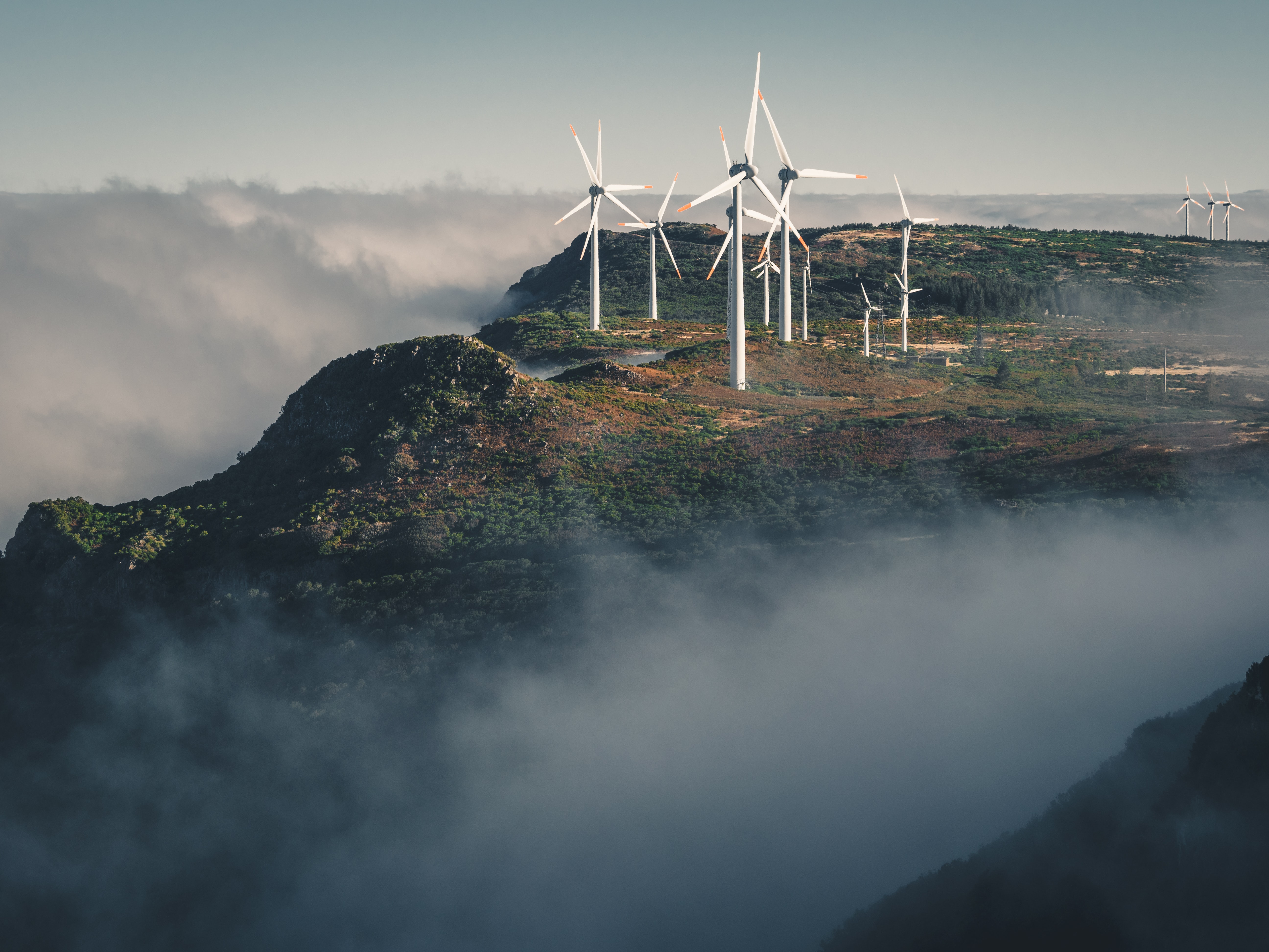 Investor approaches to scope 3: Its importance, challenges and implications for decarbonising portfolios